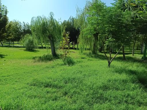 عکس بوستان آزادگان