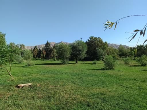 عکس بوستان آزادگان