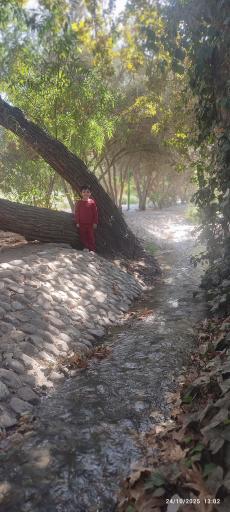 عکس بوستان آزادگان