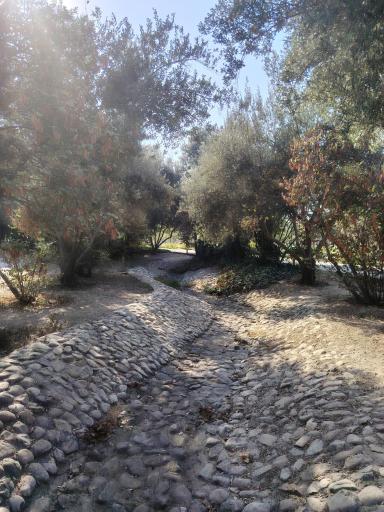 عکس بوستان آزادگان