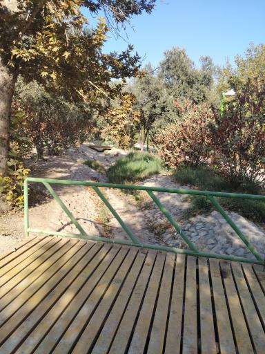 عکس بوستان آزادگان