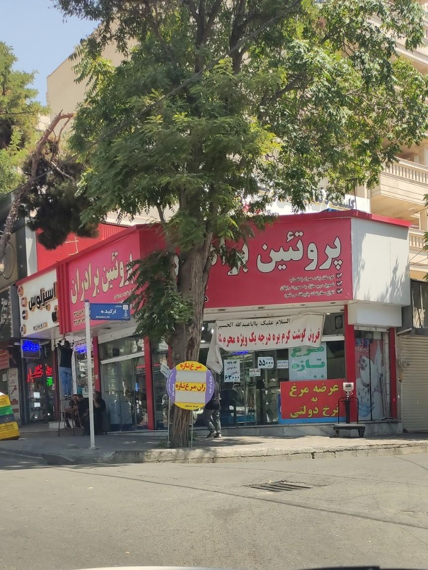 عکس پروتئین برادران