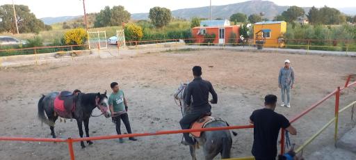 عکس باشگاه سوارکاری رشید آباد