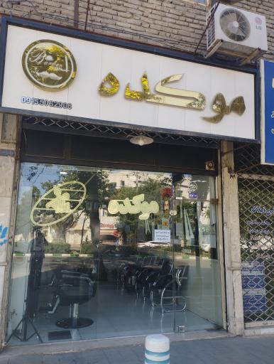 موکده علی
