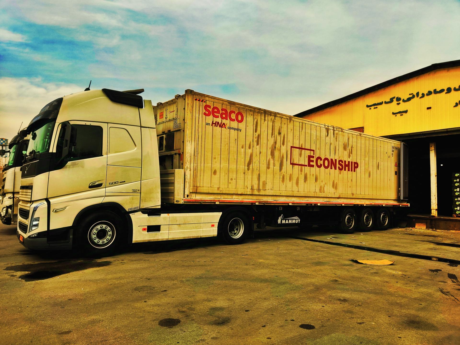 عکس سردخانه پاک سیب 