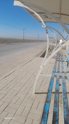 عکس  ابتدای کنه بیست