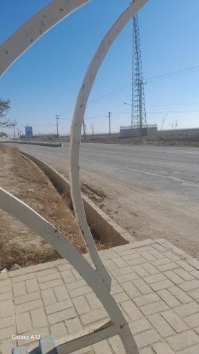 عکس  ابتدای کنه بیست