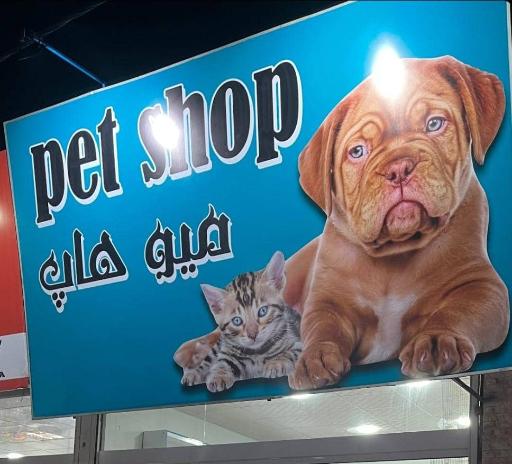 عکس پت شاپ میو هاپ