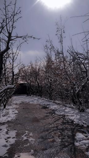 عکس گلخانه امکانی