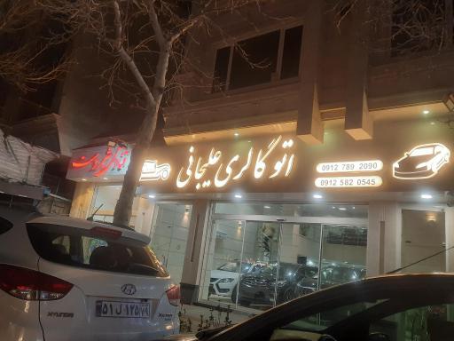 عکس اتو گالری علیجانی