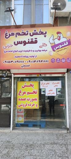 عکس پخش تخم مرغ ققنوس مشهد