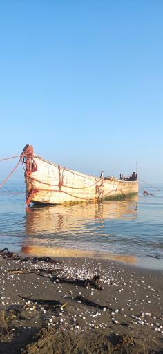 عکس مجتمع آموزشی و تفریحی شهید مطهری