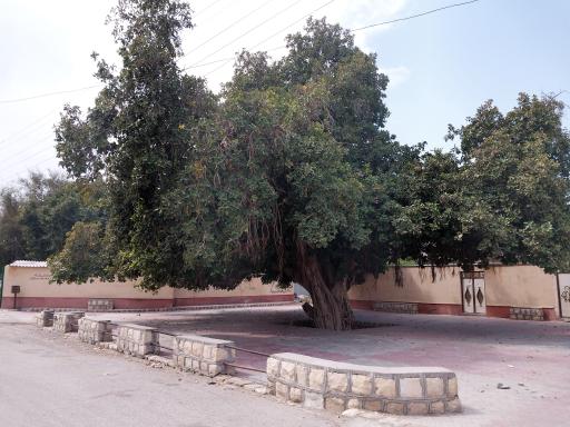 عکس حاجی خادمی