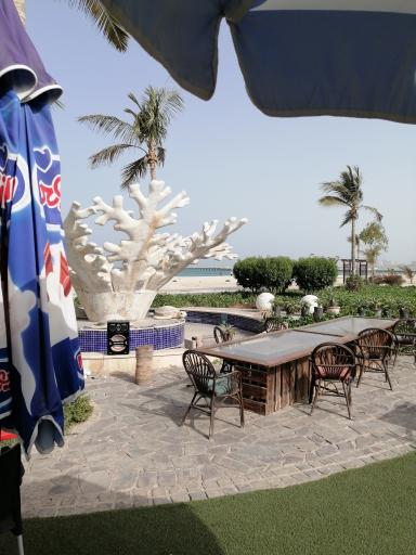 عکس اناردونه