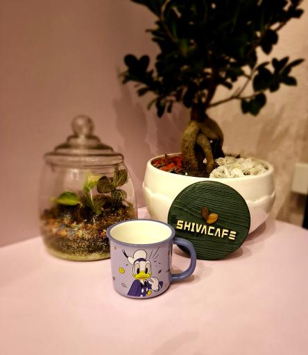 عکس کافه شیوا