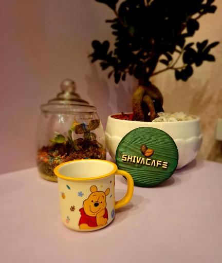 عکس کافه شیوا