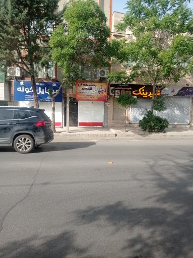 عکس پخش تخم مرغ ققنوس مشهد