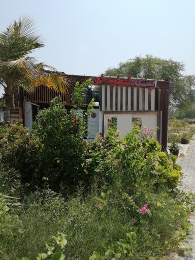 عکس اناردونه