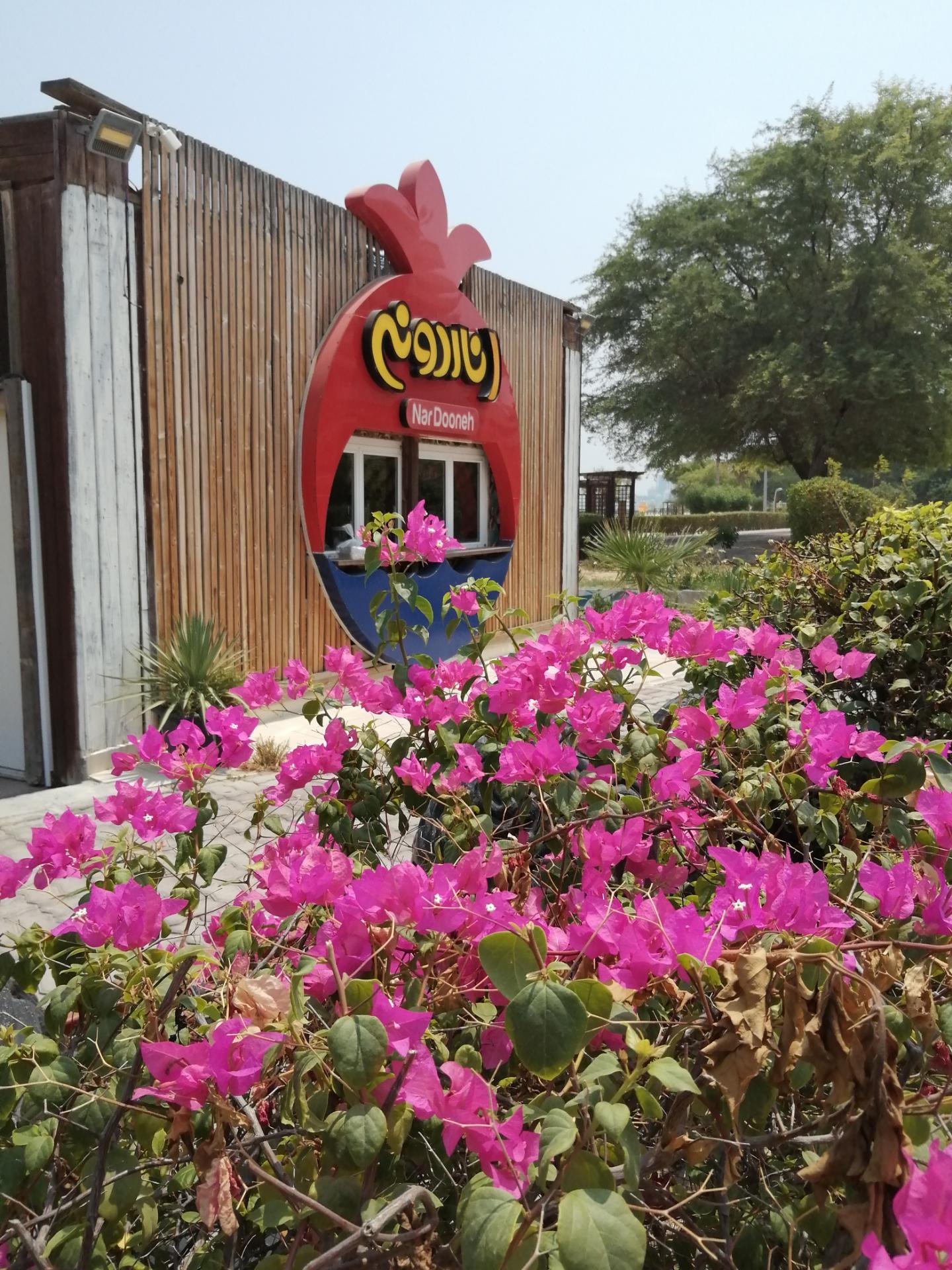 عکس اناردونه