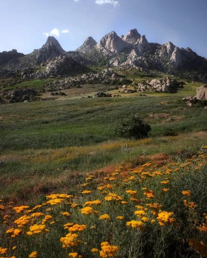 عکس کوه شیور