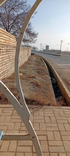 عکس  ابتدای کنه بیست