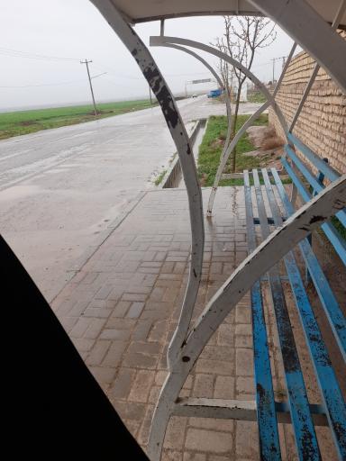 عکس  ابتدای کنه بیست
