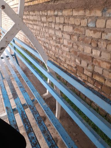 عکس  ابتدای کنه بیست