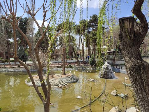 عکس برکه پرندگان