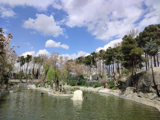 عکس برکه پرندگان