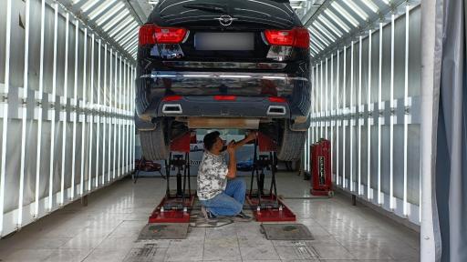 عکس تشخیص رنگ دالوند