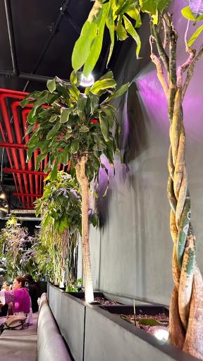 عکس رستوران د ل پ (شعبه پونک)