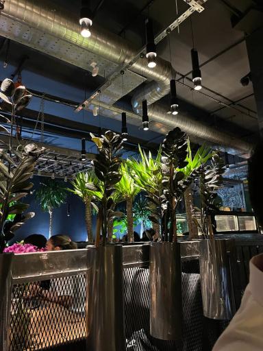 عکس رستوران د ل پ (شعبه پونک)