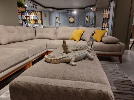 عکس گوفر چوب