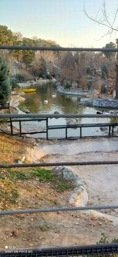 عکس برکه پرندگان