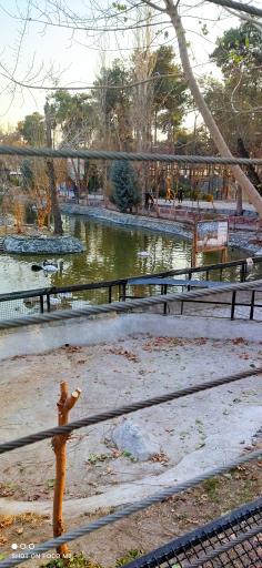 عکس برکه پرندگان