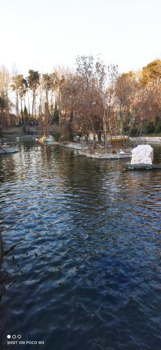 عکس برکه پرندگان