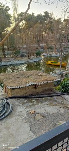 عکس برکه پرندگان