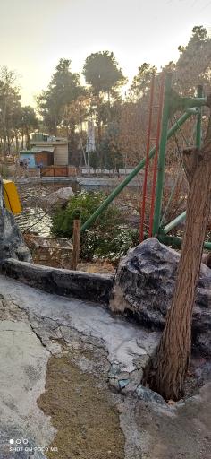 عکس برکه پرندگان