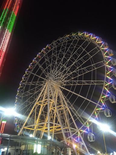 عکس چرخ و فلک