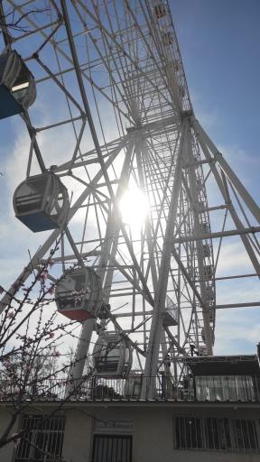 عکس چرخ و فلک