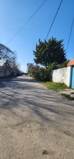 عکس شهرک شاهد ( پلاژ باغ ملی)