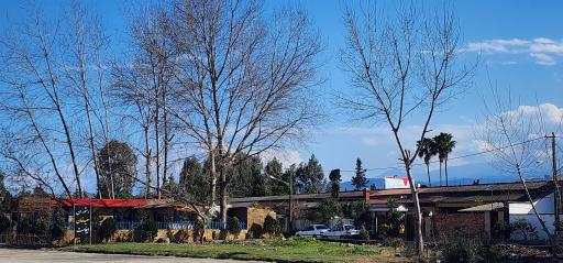 عکس شهرک شاهد ( پلاژ باغ ملی)