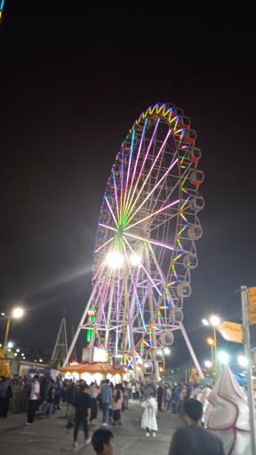 عکس چرخ و فلک