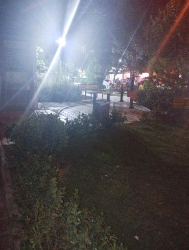 عکس پارک گل ناز