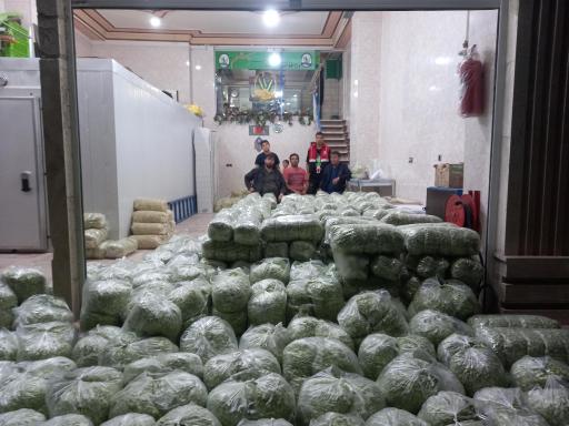 عکس پخش ارمغان نوین سبز میثم 