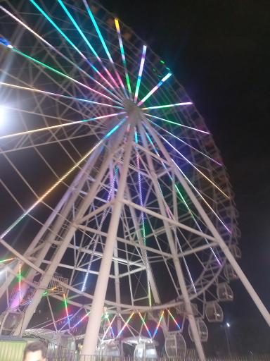 عکس چرخ و فلک