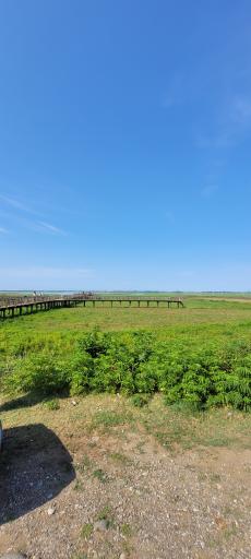 عکس تالاب نیلوفر انزلی