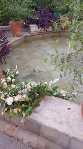 عکس مسجد شیخ فضل الله نوری