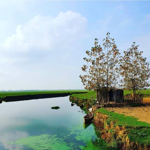 عکس تالاب نیلوفر انزلی