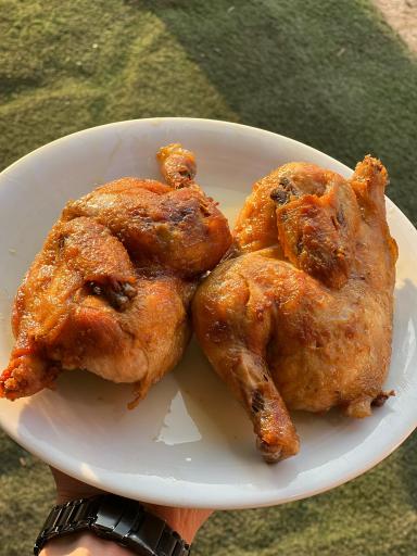 اکبر جوجه برادران کلبادی رسمی